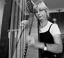 The Harpist by Di Jenkins