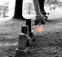Patriot's Grave by Bob Fox