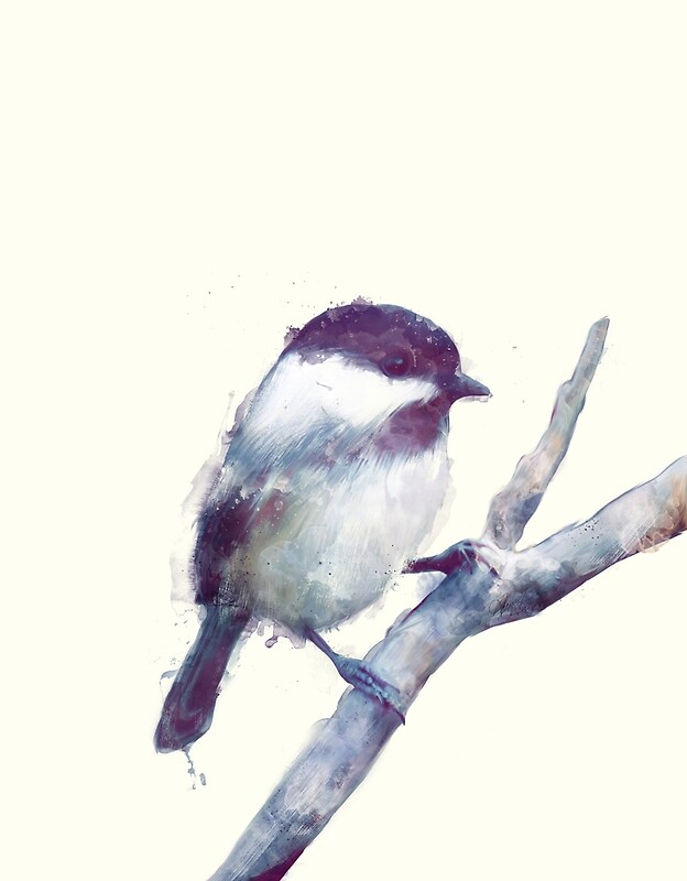quot bird trust quot by amy hamilton redbubble quot bird trust quot by amy hamilton redbubble