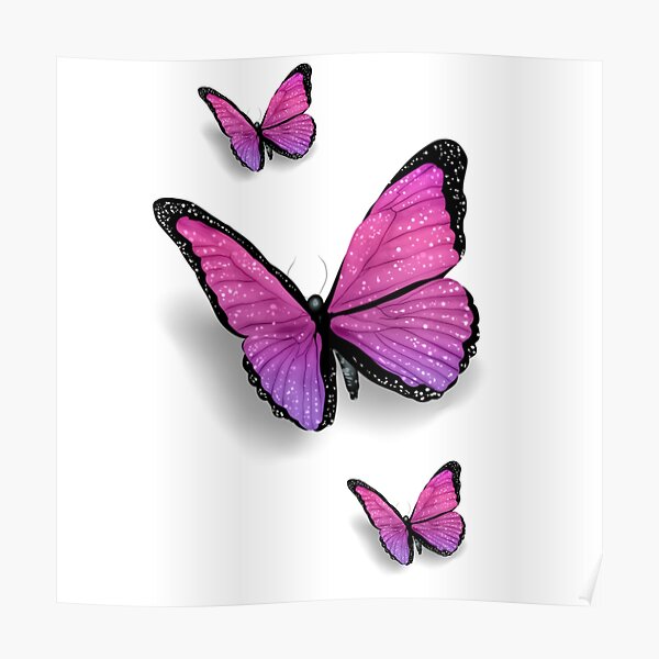 Pink Butterfly Purple Butterfly Poster For Sale By Mfalfarhan