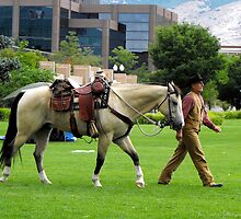 Introducing Sundance the Horse and His Owner Ron by Jan Tribe