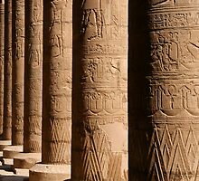 Columns of hieroglyphics, Edfu Temple of Horus by 98octane