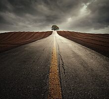 The way it grows by swin