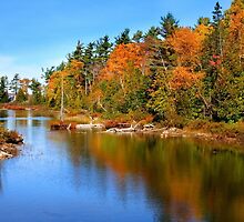 Autumn landscape by snehit