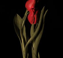The Embrace by Michael Wahlers