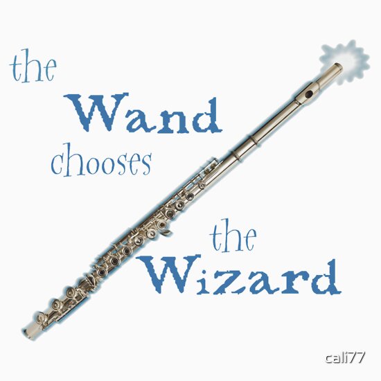 The Wand Chooses Wizard: Stickers | Redbubble