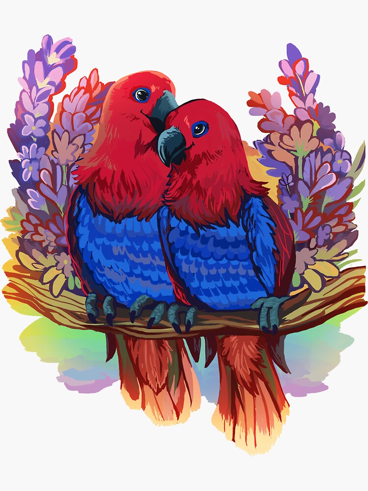 Lesbian Eclectus Parrots Sticker For Sale By Barbalarga Redbubble