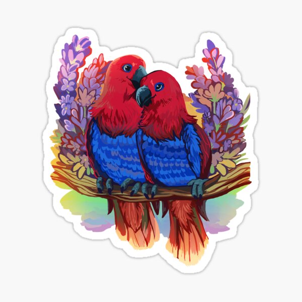 Lesbian Eclectus Parrots Sticker For Sale By Barbalarga Redbubble