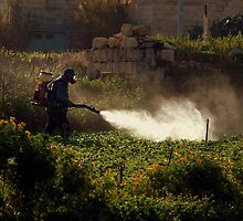 Spraying the Crops by Anthony Vella