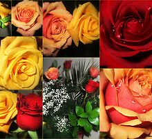 Sent With Love............ by naturelover