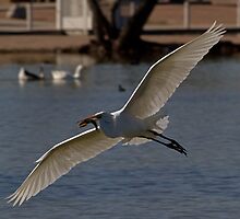 Successful Fisherman by Marvin Collins