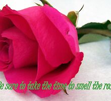 Stop and Smell the Roses by debbiedoda