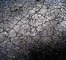 Scorched earth by Maggie Hegarty