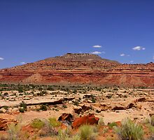 Desert landscape by snehit