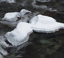 Cold Water by Gary L Suddath