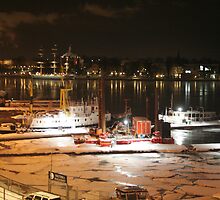 Night harbor (Stockholm, Sweden) by Antanas