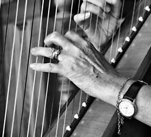 The Harpist's Hands by Di Jenkins