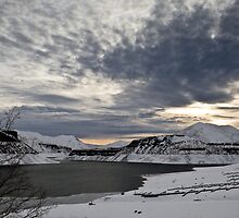 Desolation by Kathleen Bowman