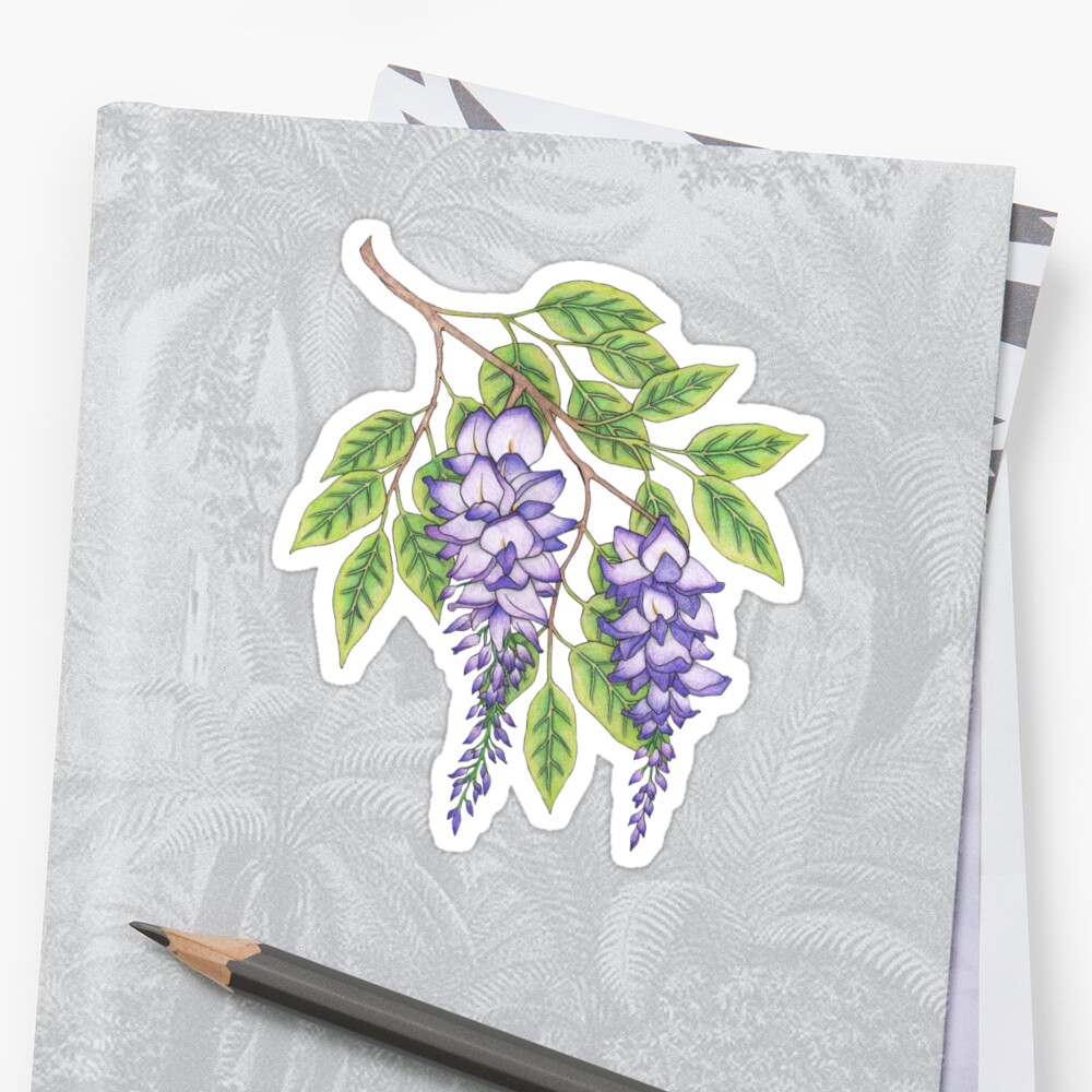 Wisteria Sticker By Clearwillow Redbubble