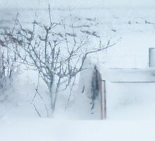 iceworld by NordicBlackbird