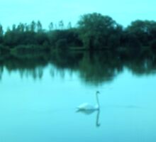 Swan Lake in Turquoise by anaisnais