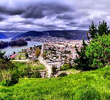 Earthquake in Chile: Constitucion by Daidalos