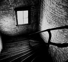 Dark Descent by shutterbug2010
