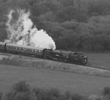 Swanage Steam Train Railway by MichelleRees