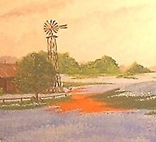 East Texas Field of Bluebonnets and Indian Paintbrushes by Don Williams