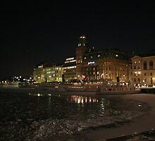 Palace at night (Stockholm, Sweden) by Antanas