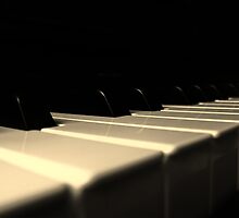 The pianist by Annabelle Evelyn