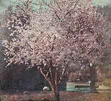 Sweet Kisses Under The Tree by Laurie Search