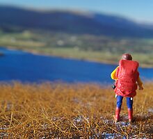 Small World #2 by beanphoto