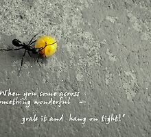 Ant - Inspired. by binjy