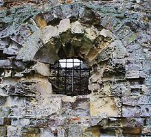 Camber Castle - decay by Dave Godden