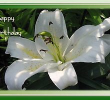 Happy Birthday Greeting Card With A White Lily by taiche