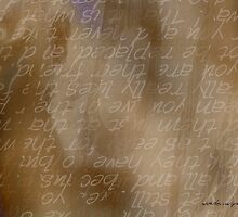 Insight © by Vicki Ferrari