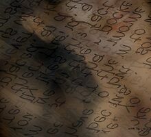 Reading Between The Lines © Vicki Ferrari Photography by Vicki Ferrari