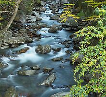 West Prong Little Pigeon River by Gary L Suddath