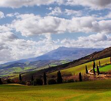 Rolling Hills by Polly Peacock