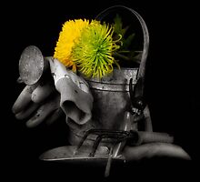 Garden Tools 2 by Jeffrey Sinnock