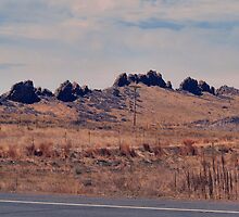 Devil's Backbone by Barb Miller