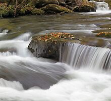 Unyielding by Gary L Suddath