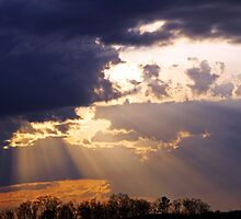 Piercing the Darkness by Terri~Lynn Bealle