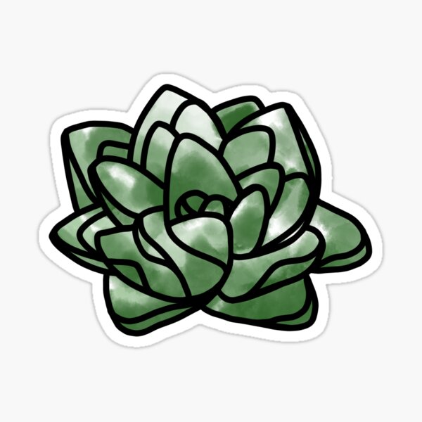 Watercolor Succulent Sticker For Sale By Rreaganbrown Redbubble