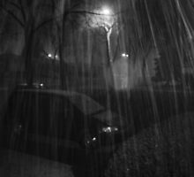 Wind storm +Snow! by tuffcookie