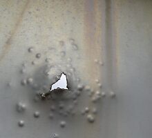 Beebees and Bullets by Nicole S. Moore