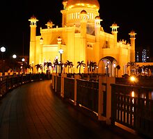 Sultan Omar Ali Saifuddin Mosque, Brunei 2 by Philip Alexander