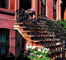 Flowers on a stoop by ShellyKay