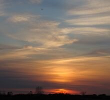 Sunset at Sandy Hook, New Jersey Nature by Michele Ford